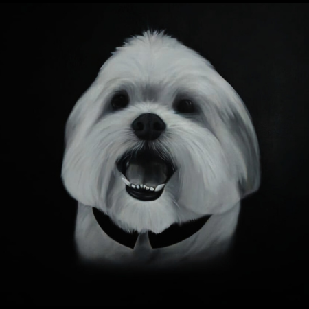 IMAGEM DE OBRA PARA SITE (1).png